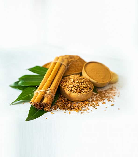 Ceylon Cinnamon - Elimgroup